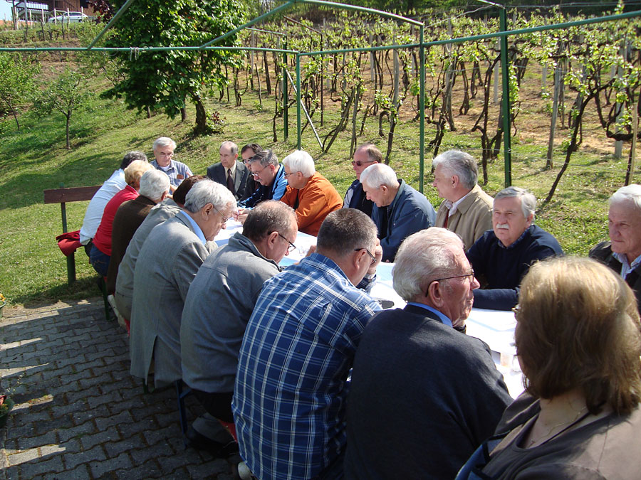 Skup&scaron;tina 2011.