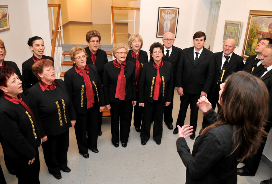 Izlo�ba Vladimira D�anka u Po�egi