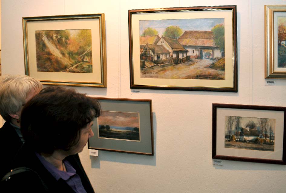 Izlo�ba Vladimira D�anka u Po�egi