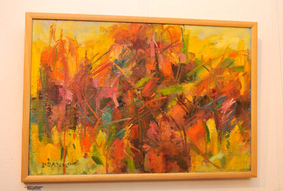 Izlo�ba Vladimira D�anka u Po�egi