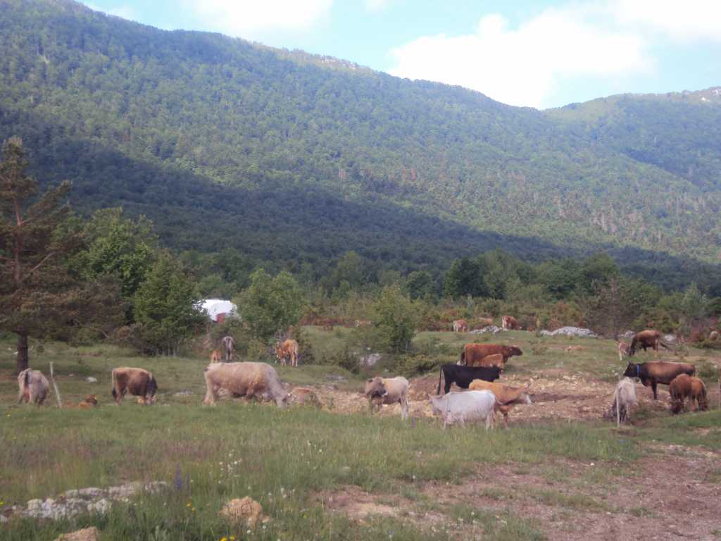 Izlet u Liku i na Kornate