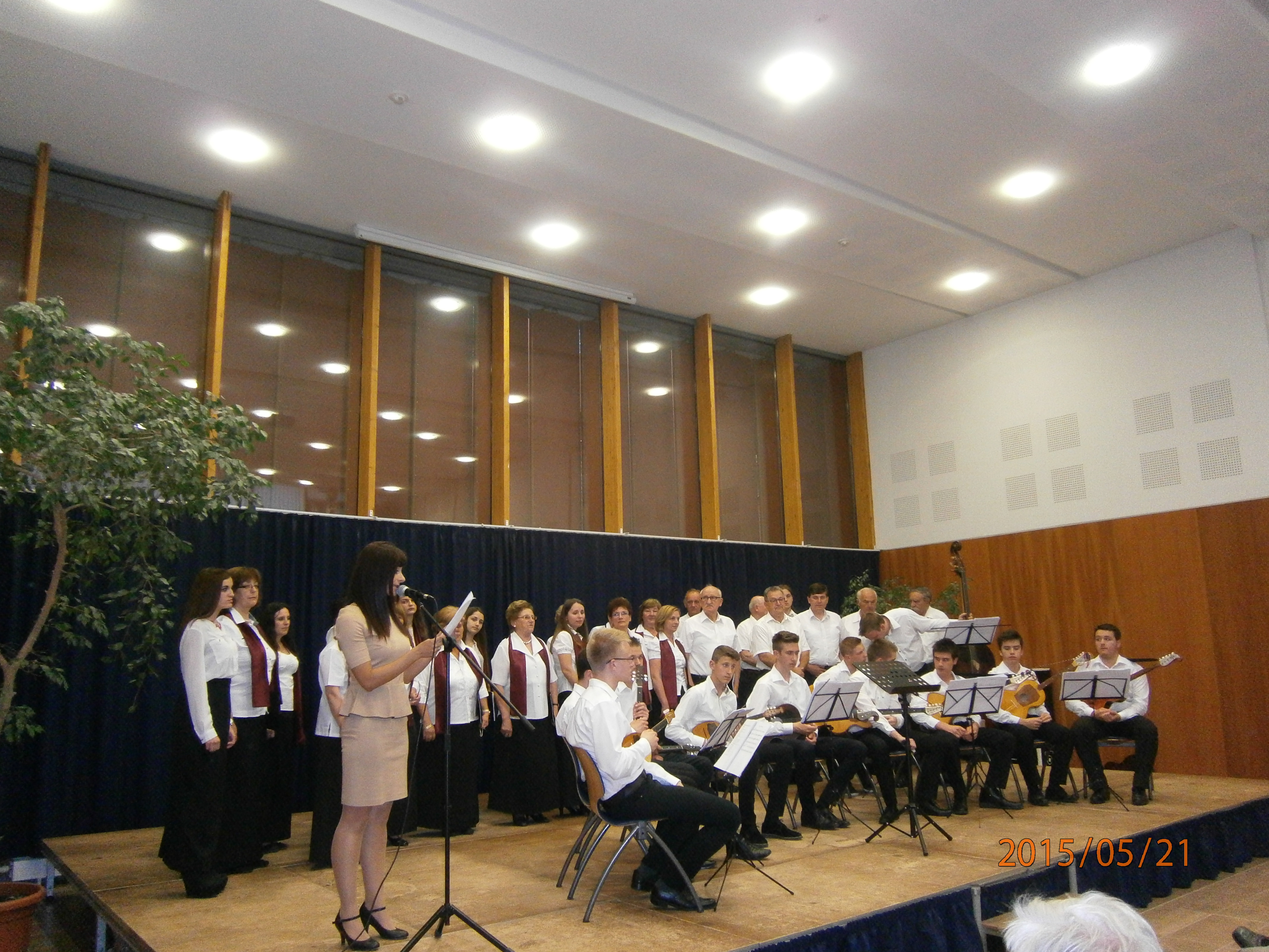 Uzvratni koncert u Pe�uhu