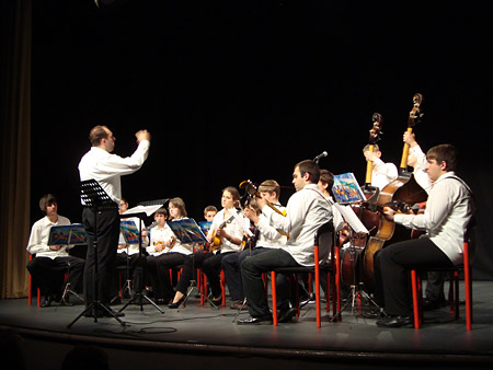 koncert Vidra 2011