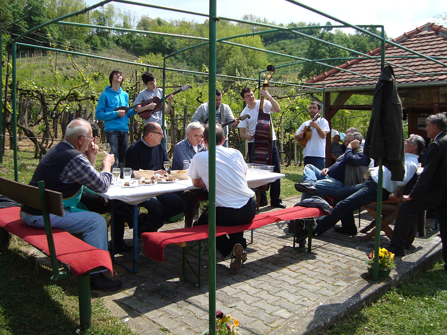 Skup&scaron;tina 2011.