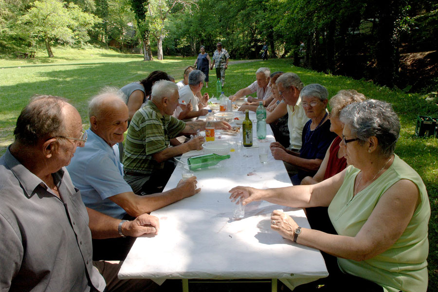 Skup&scaron;tina 2011.