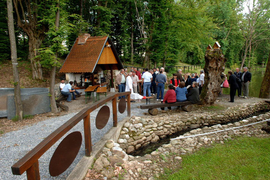 Skup&scaron;tina 2013.