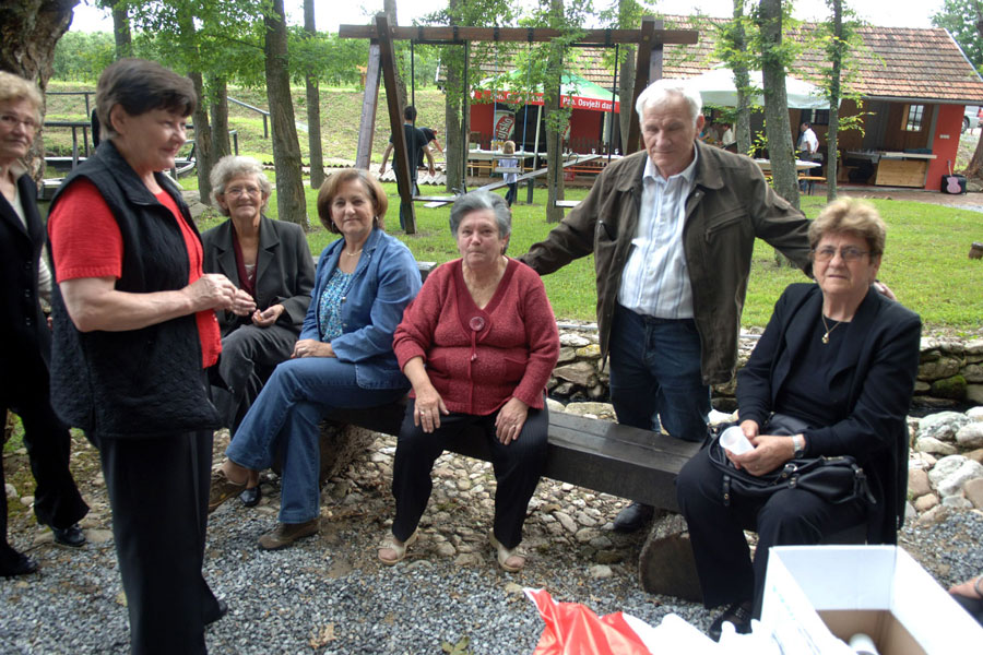 Skup&scaron;tina 2013.