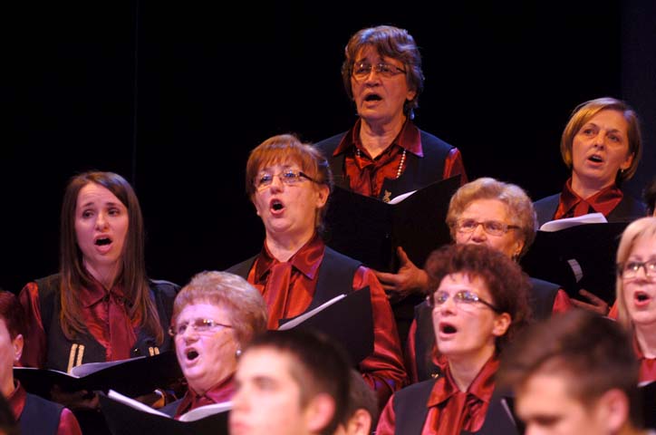 Tradicionalni bo�i�ni koncert 2014
